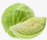 Cabbage