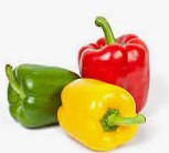 Capsicum