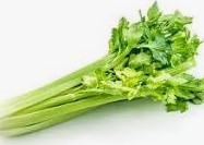 Celery