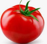 Tomato